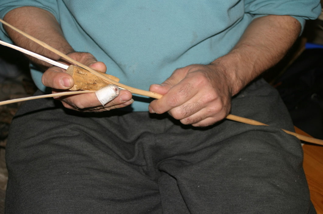 Photo tige refendues